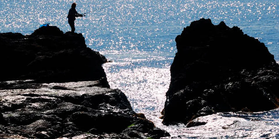 Fishing rod beside quiet coastal water with no people or text