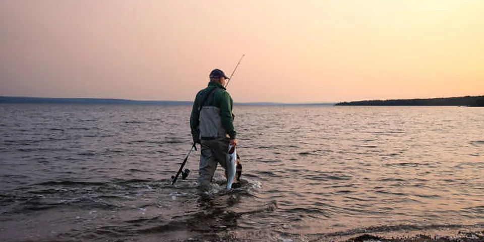Fishing rod beside quiet coastal water with no people or text