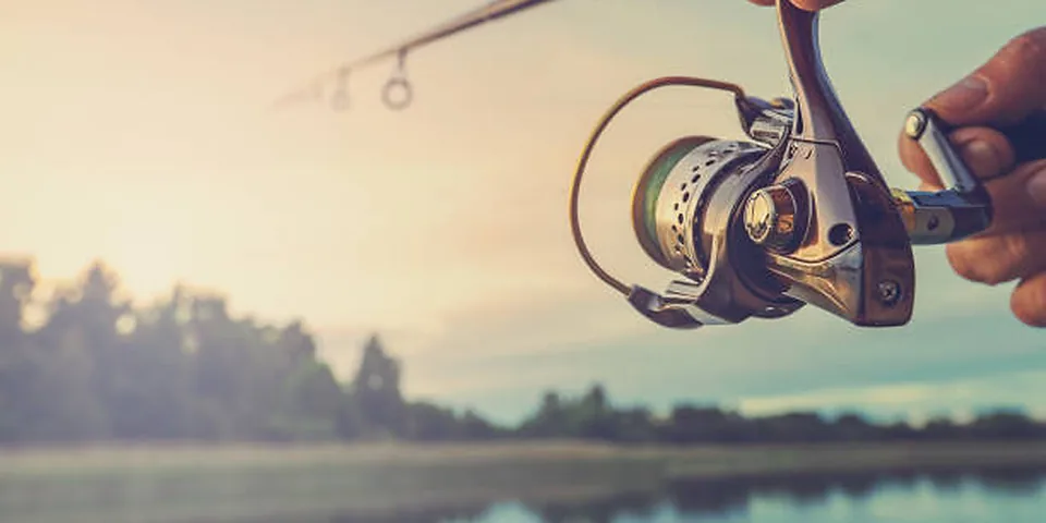 Fishing rod beside quiet coastal water with no people or text