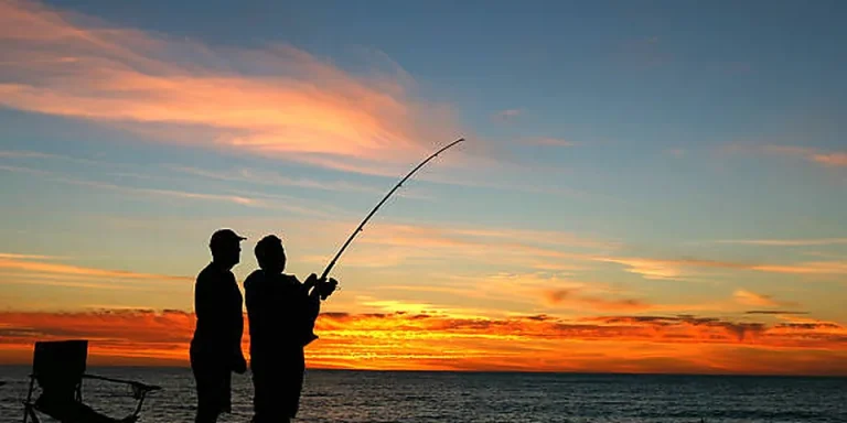 Alaska Fishing License 2026: King Stamp & Senior PID