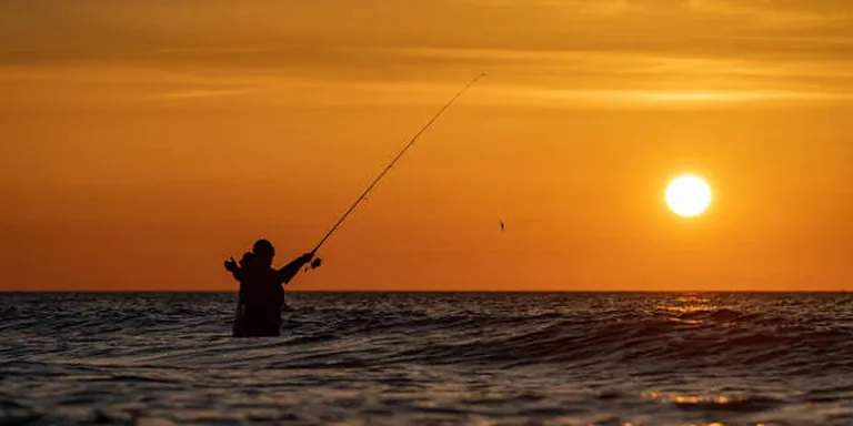 Arkansas Fishing License 2026: Trout Permit Rules
