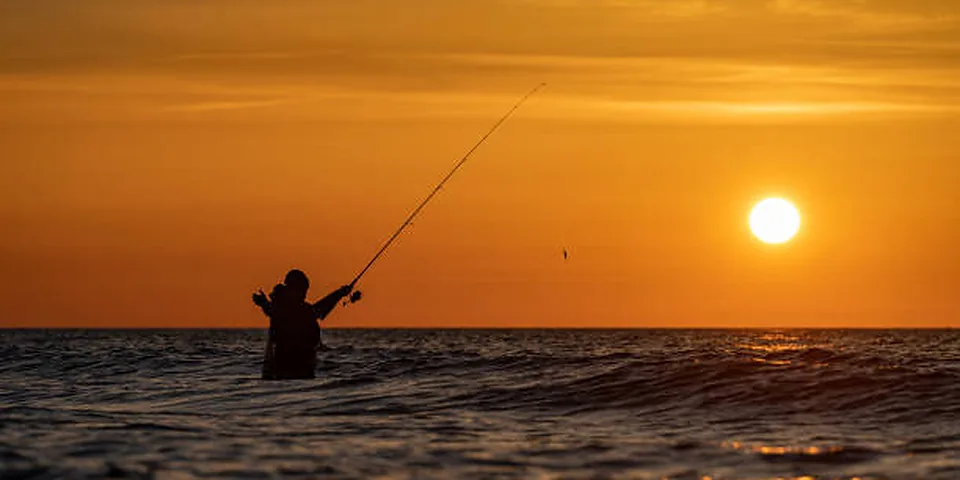 Fishing rod beside a clear rocky stream with natural forest shoreline