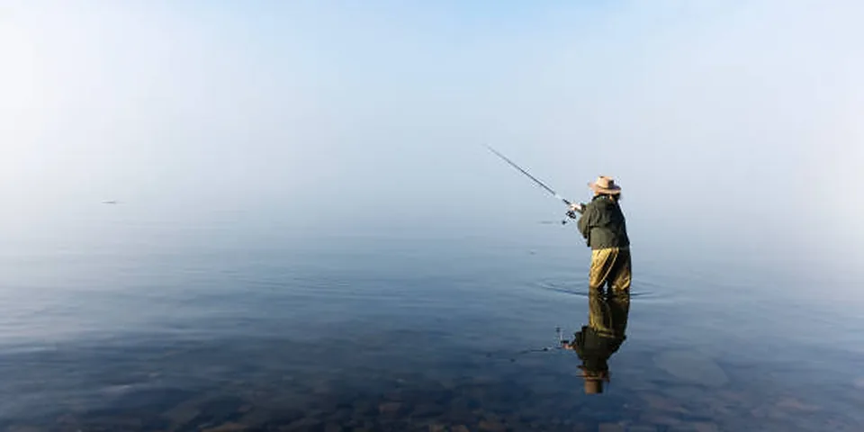 Fishing rod beside quiet coastal water with no people or text