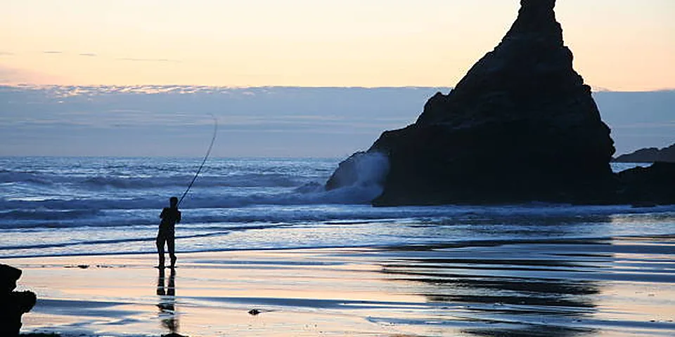 Fishing rod beside a clear rocky stream with natural forest shoreline