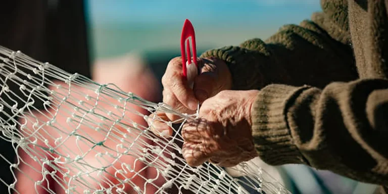 Connecticut Fishing License 2026: Inland, Marine, All Waters