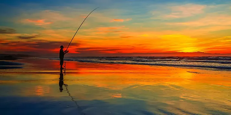 Delaware Fishing License 2026: $8.50, Trout Stamp & FIN