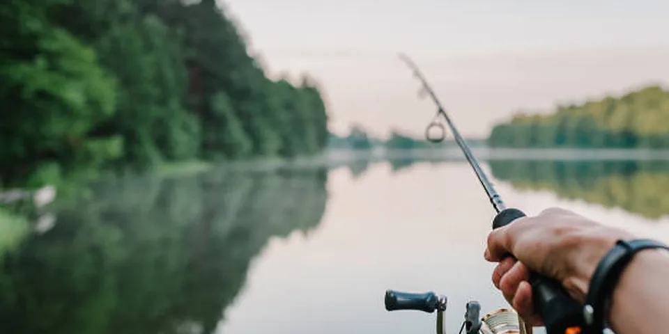 Two different sized fishing rods on an empty dock beside calm water