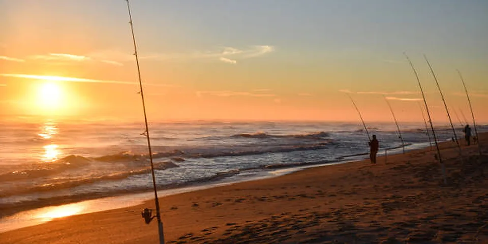 Fishing rod beside quiet coastal water with no people or text