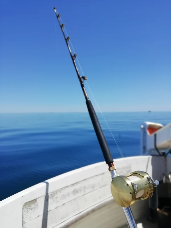 Fishing rod over calm open sea at dusk