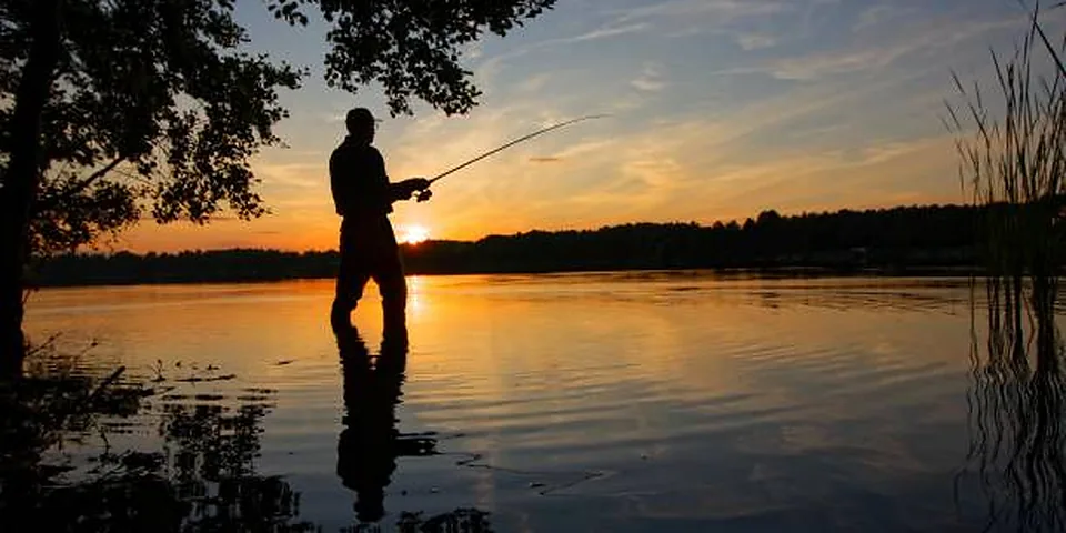 Fishing rod beside quiet coastal water with no people or text