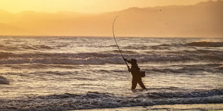 Georgia Trout License 2026: Ages, SIP & Add-Ons