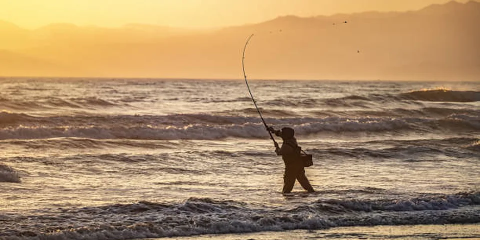 Fishing rod beside quiet coastal water with no people or text