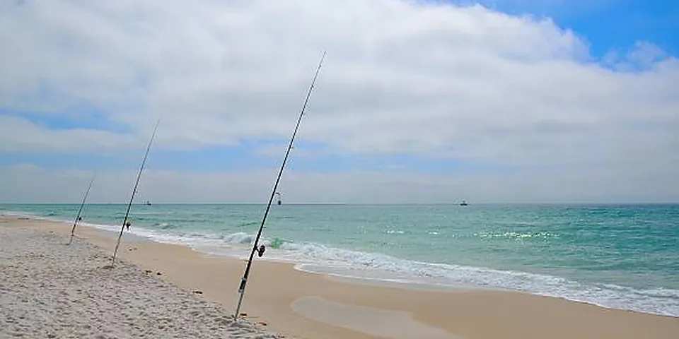 Fishing rod beside quiet coastal water with no people or text