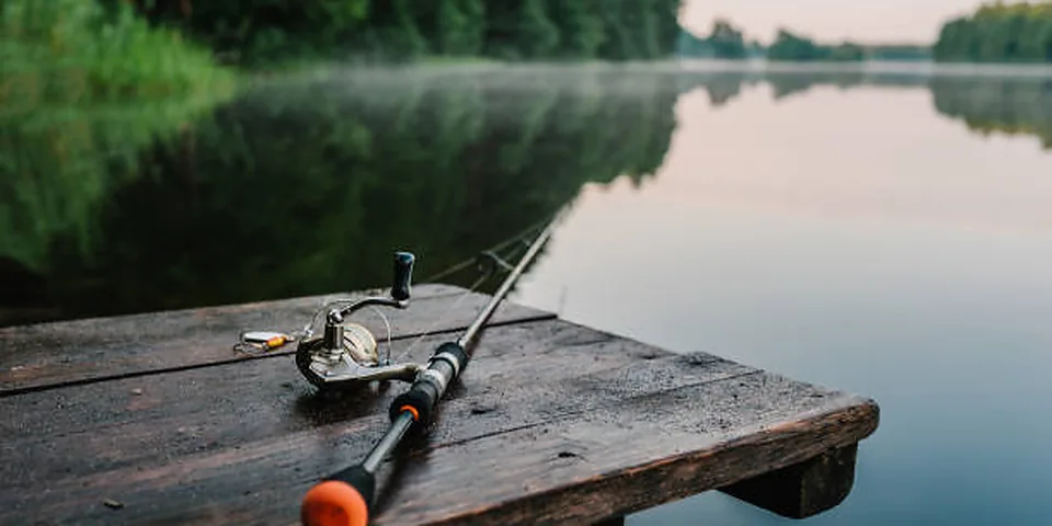 Fishing rod beside a clear rocky stream with natural forest shoreline
