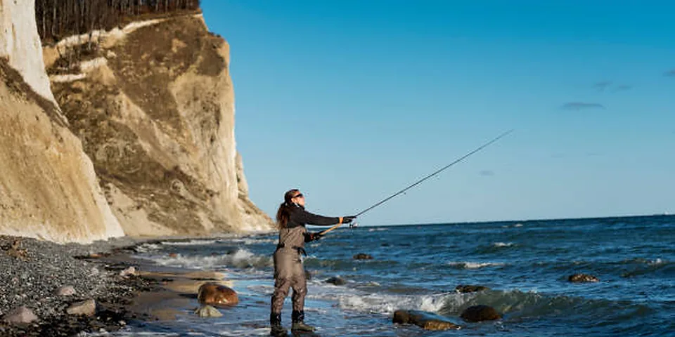 Fishing rod beside a clear rocky stream with natural forest shoreline