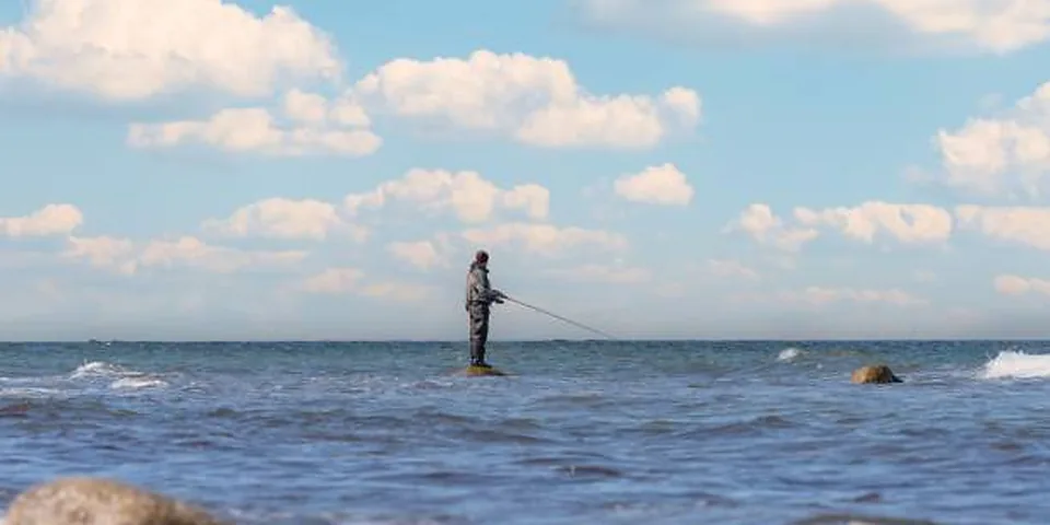 Two different sized fishing rods on an empty dock beside calm water