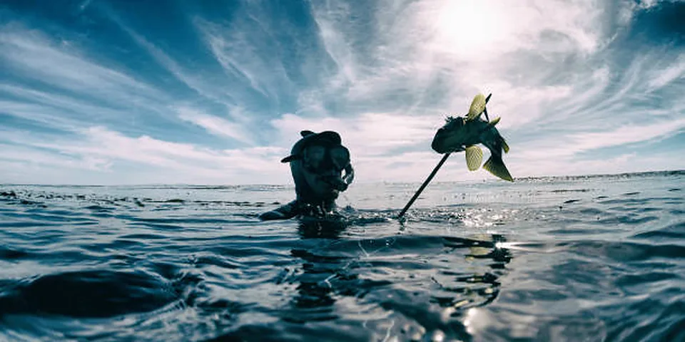 Fishing rod beside a clear rocky stream with natural forest shoreline