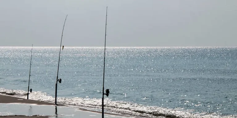 Kansas Fishing License 2026: Trout Permit, Fees & Age 75
