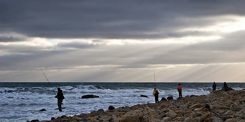 Fishing rod beside a clear rocky stream with natural forest shoreline