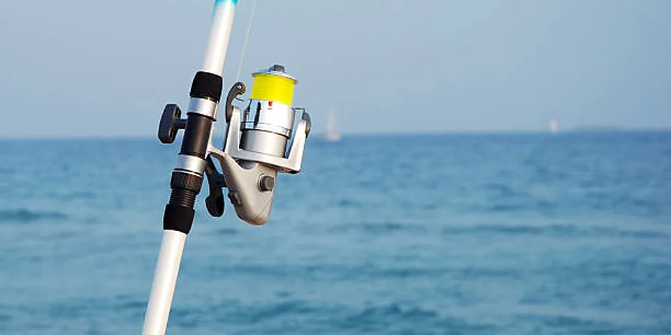 Fishing rod beside a clear rocky stream with natural forest shoreline