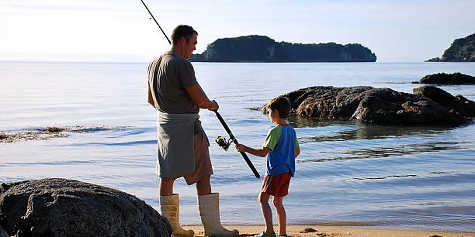 Fishing rod beside quiet coastal water with no people or text