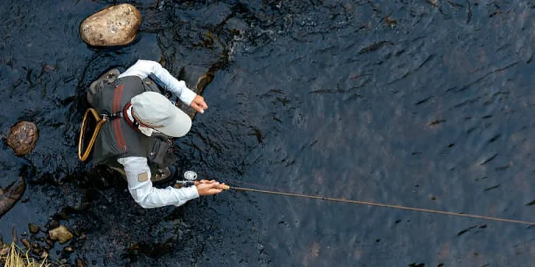 Louisiana Out-of-State Fishing License Cost 2026
