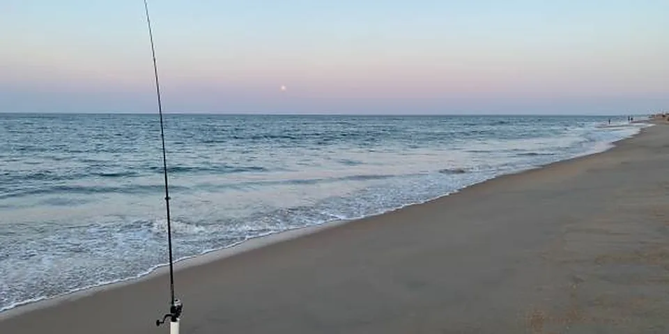 Fishing rod beside quiet coastal water with no people or text