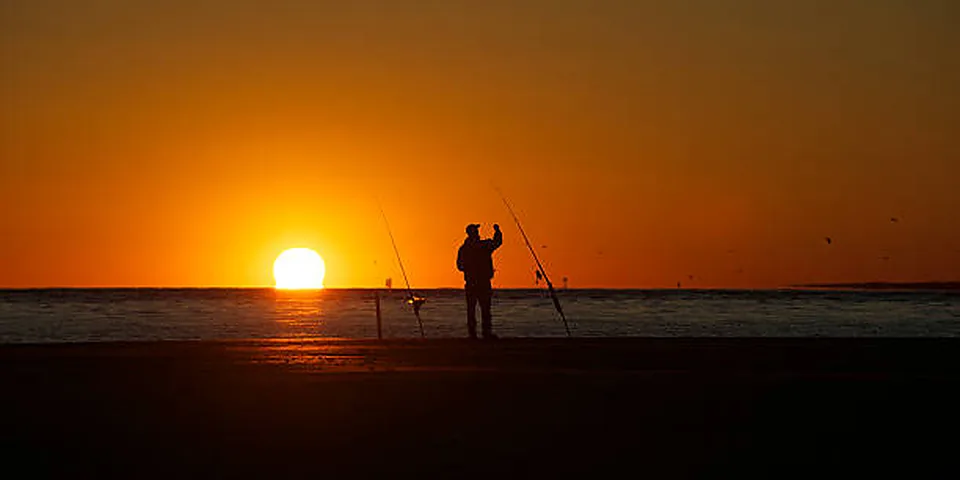 Fishing rod beside quiet coastal water with no people or text