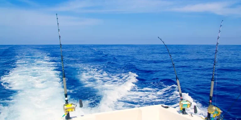 Maine Saltwater Fishing Registry 2026: Cost & Exemptions