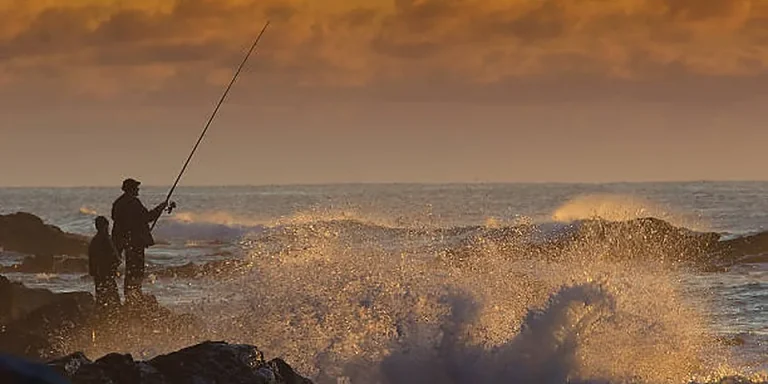 Maryland Fishing License 2026: Bay, Non-Tidal & Trout Stamp