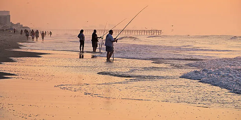 Fishing rod beside quiet coastal water with no people or text