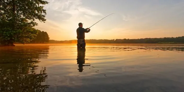 Michigan Nonresident Fishing License: Visitor Rules and Costs to Check (2026)