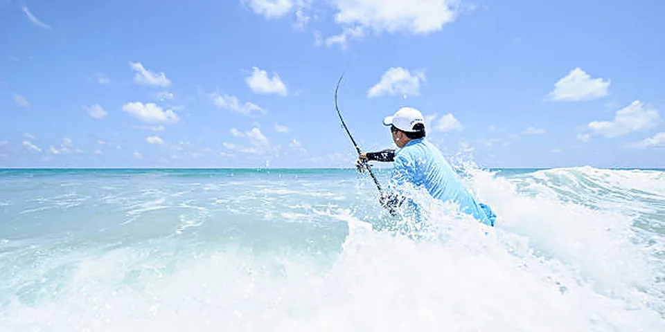 Fishing rod beside quiet coastal water with no people or text