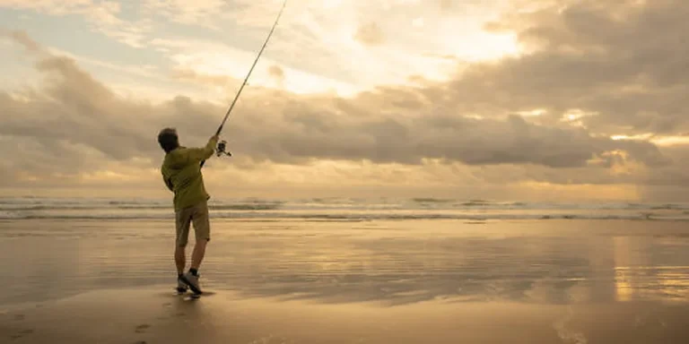 Missouri Fishing License 2026: Trout Permit & Park Tags