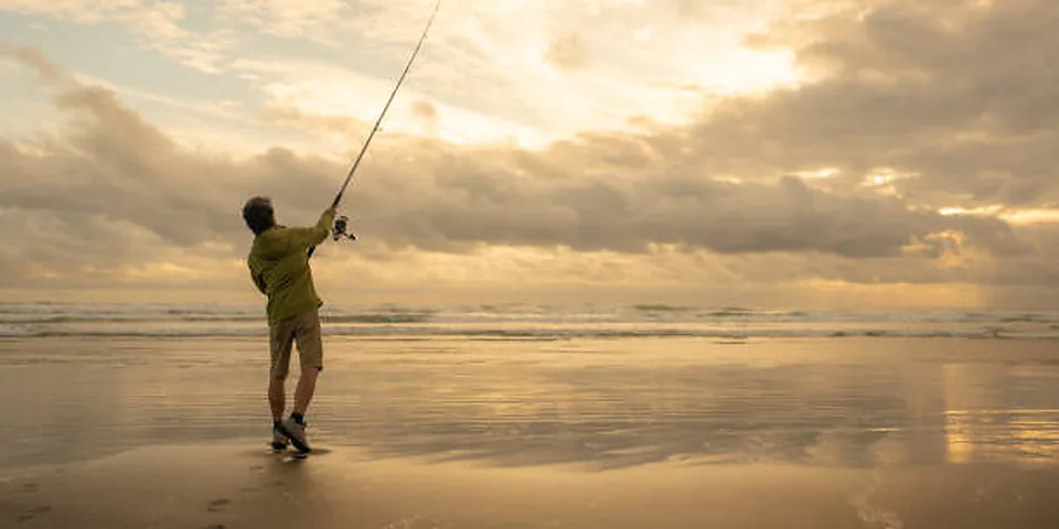Fishing rod beside a clear rocky stream with natural forest shoreline