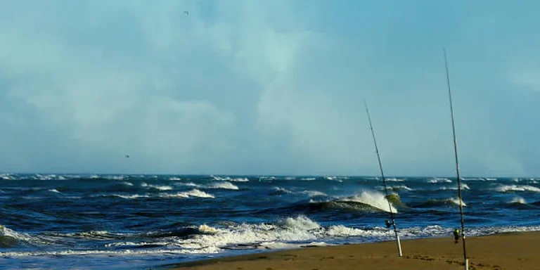 Nebraska Fishing License 2026: Aquatic Habitat Included