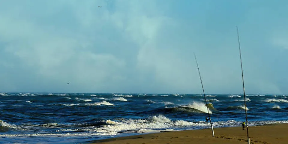 Two different sized fishing rods on an empty dock beside calm water