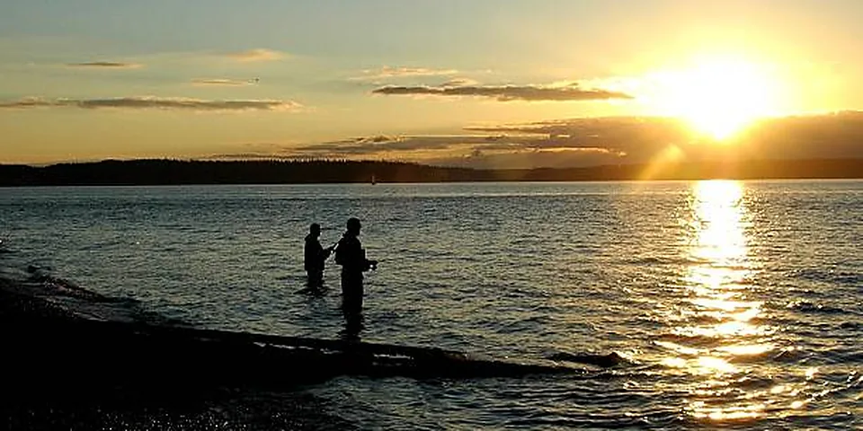 Fishing rod beside quiet coastal water with no people or text