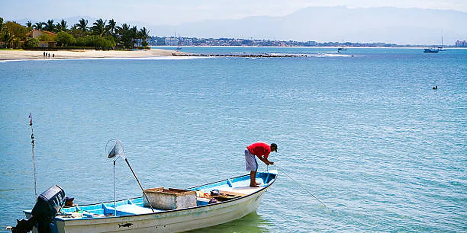 Fishing rod beside quiet coastal water with no people or text