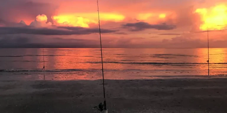 New Jersey Freshwater Fishing License Cost 2026: Fees & Trout