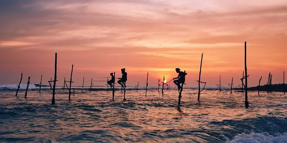 Fishing rod beside quiet coastal water with no people or text
