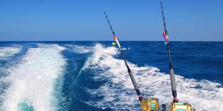 North Carolina Clamming Permit 2026: License, Limits & Closures