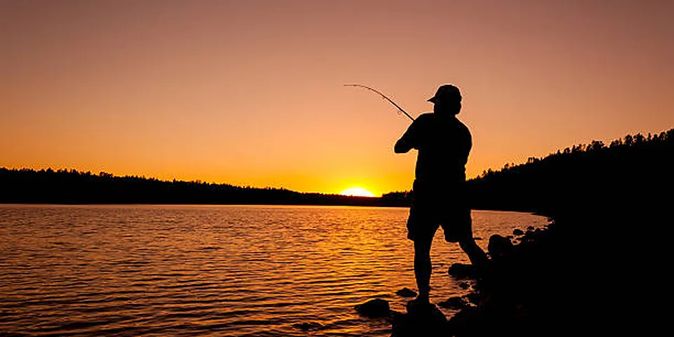 Fishing rod beside quiet coastal water with no people or text