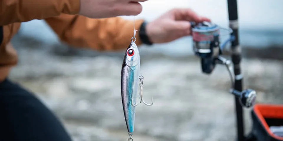 Fishing rod beside quiet coastal water with no people or text