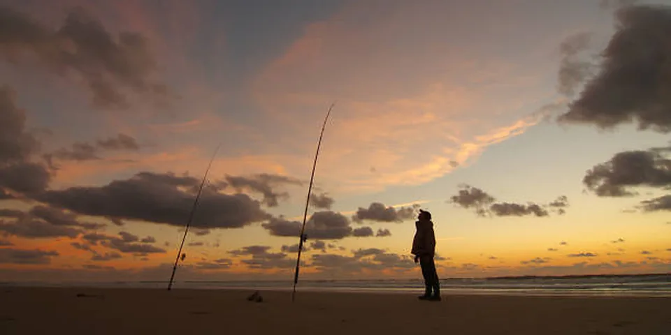 Two different sized fishing rods on an empty dock beside calm water