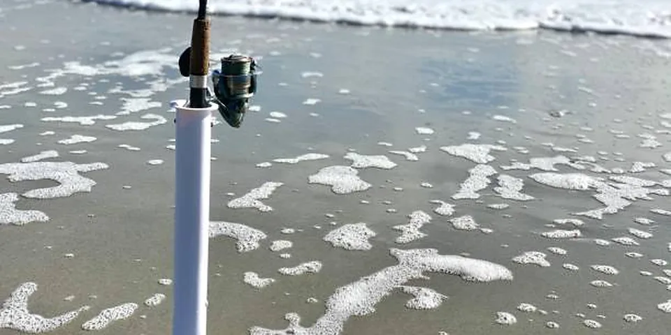 Fishing rod on a quiet lakeshore with reeds and open water