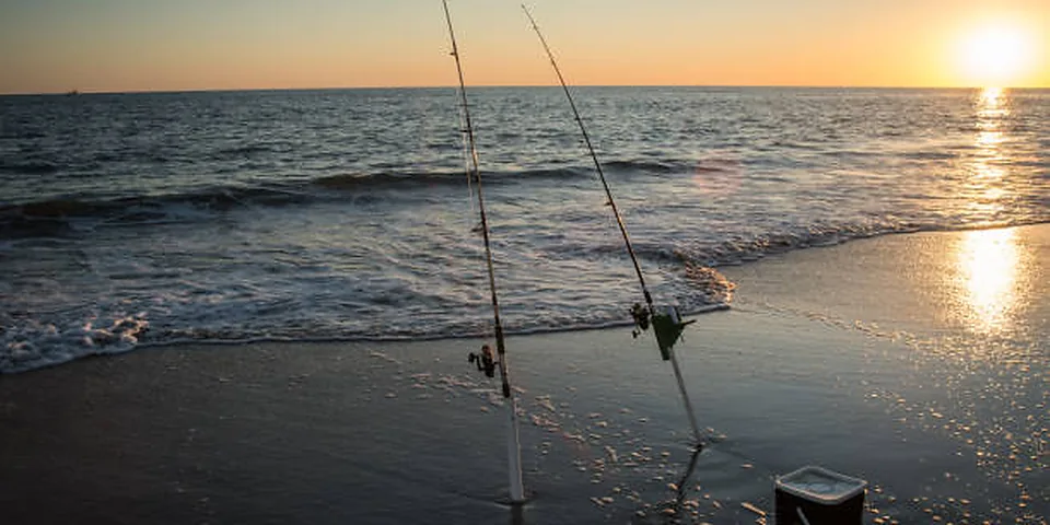 Fishing rod on a quiet lakeshore with reeds and open water