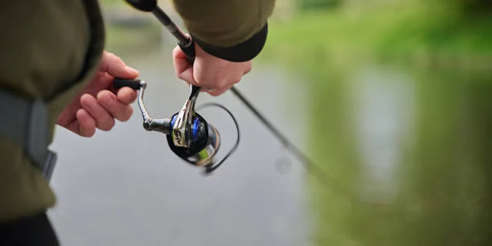 Fishing rod beside a clear rocky stream with natural forest shoreline
