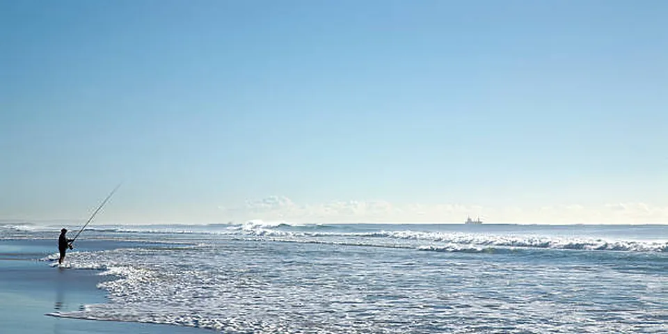 Fishing rod beside quiet coastal water with no people or text