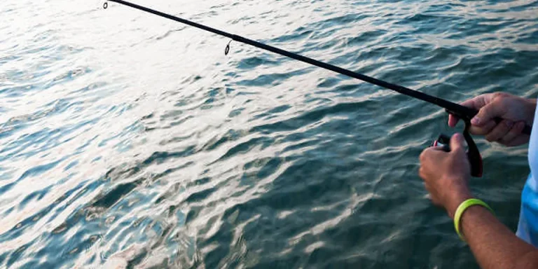 South Carolina Fishing License 2026: FW vs Saltwater